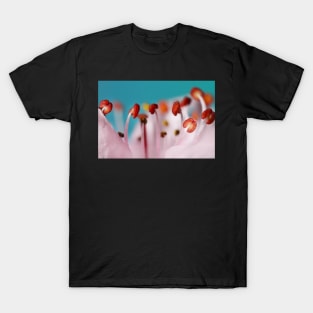 Spring Dance T-Shirt